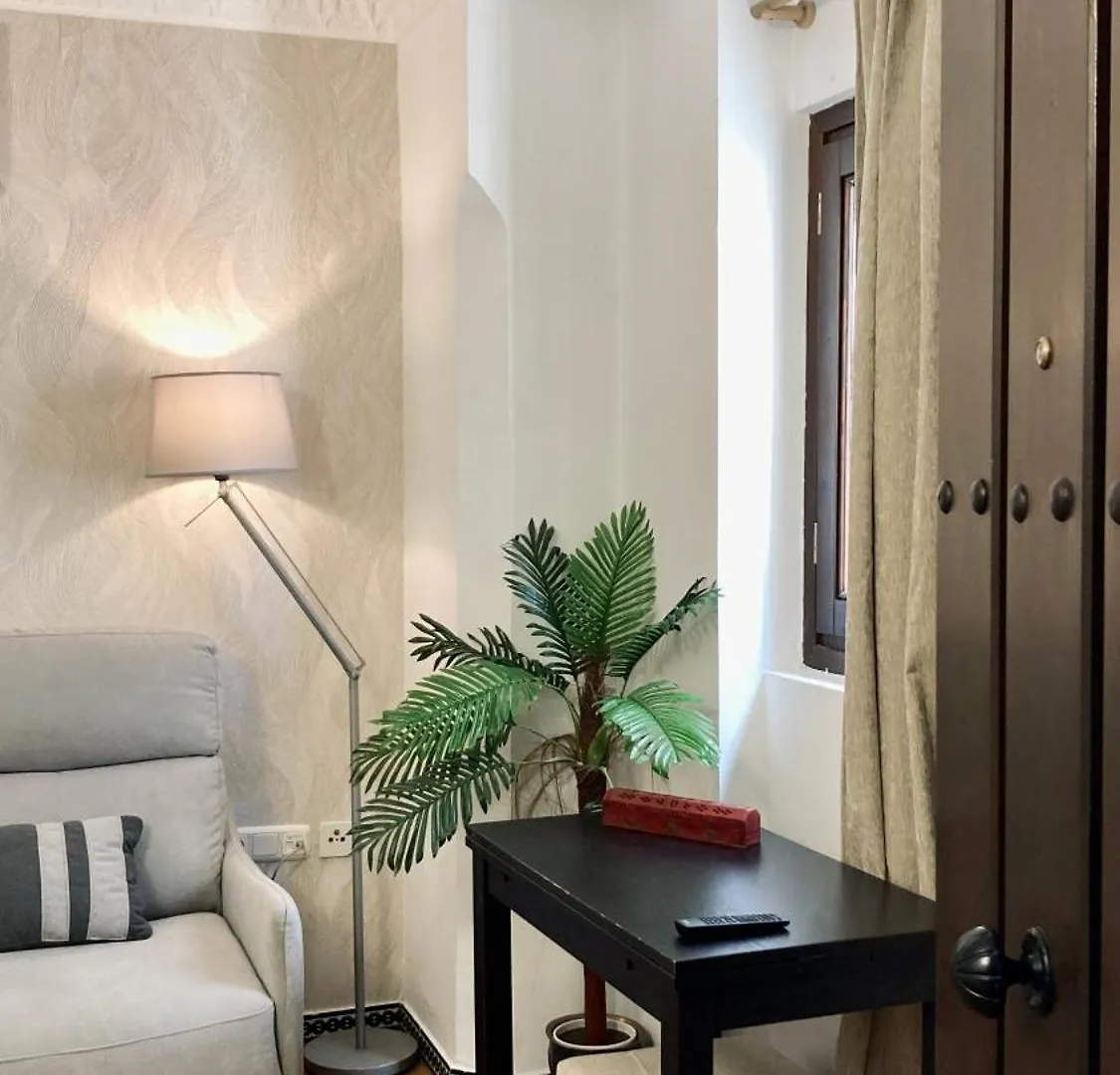 Apartment Adanar-Apartamentos Muralla Ziri Granada