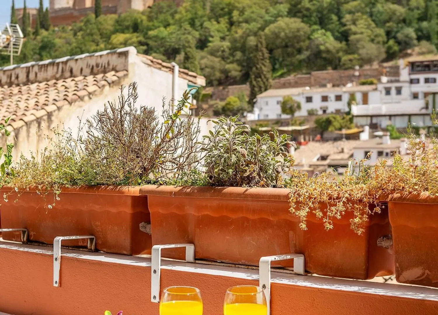 Adanar-Apartamentos Muralla Ziri Granada