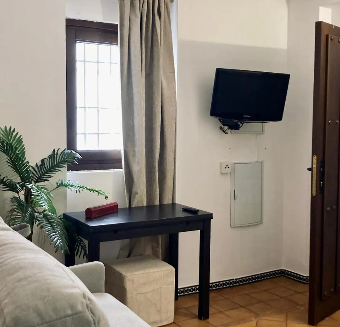 Adanar-Apartamentos Muralla Ziri Granada Španělsko